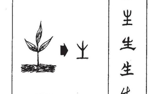 五谷的热量表大全-五谷热量脂肪表图片专区_五谷的热量表大全专区_五谷热量脂肪表网